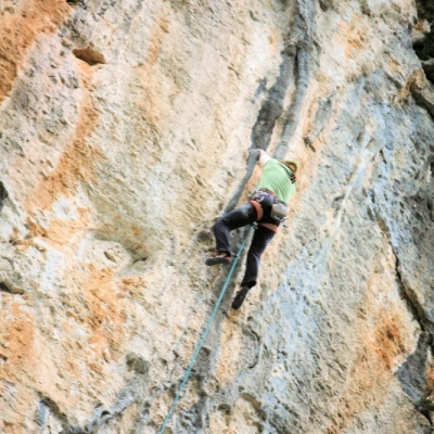 cardiaque_8245b.jpg
