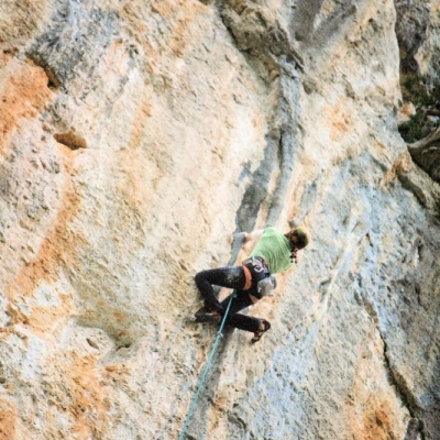 cardiaque_8247b.jpg
