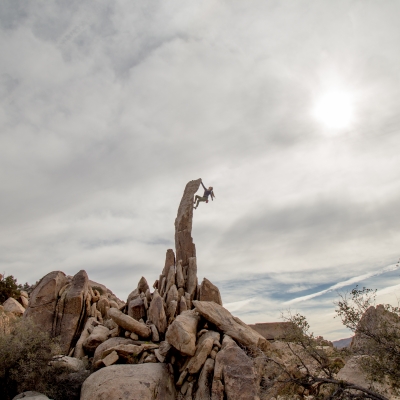 JTREE_DICK_TOWER.jpg