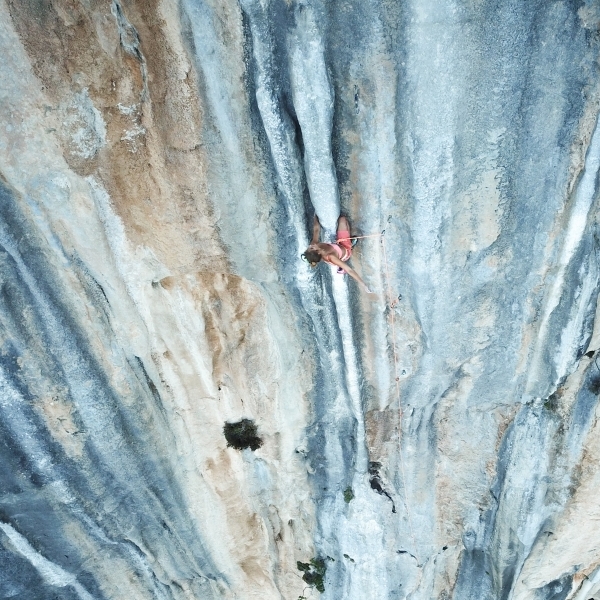 SequoiaLove5.jpg